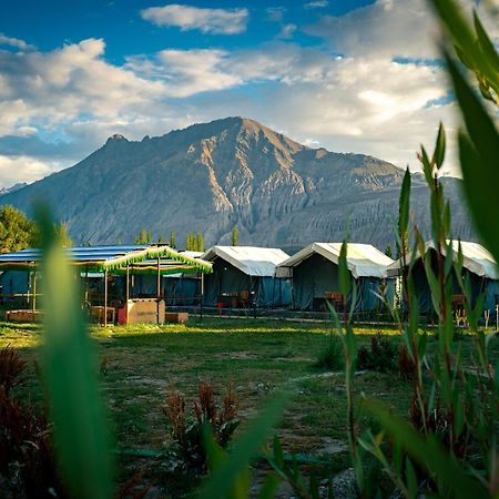 Green Throne Camp Bed and Breakfast Leh Exterior foto