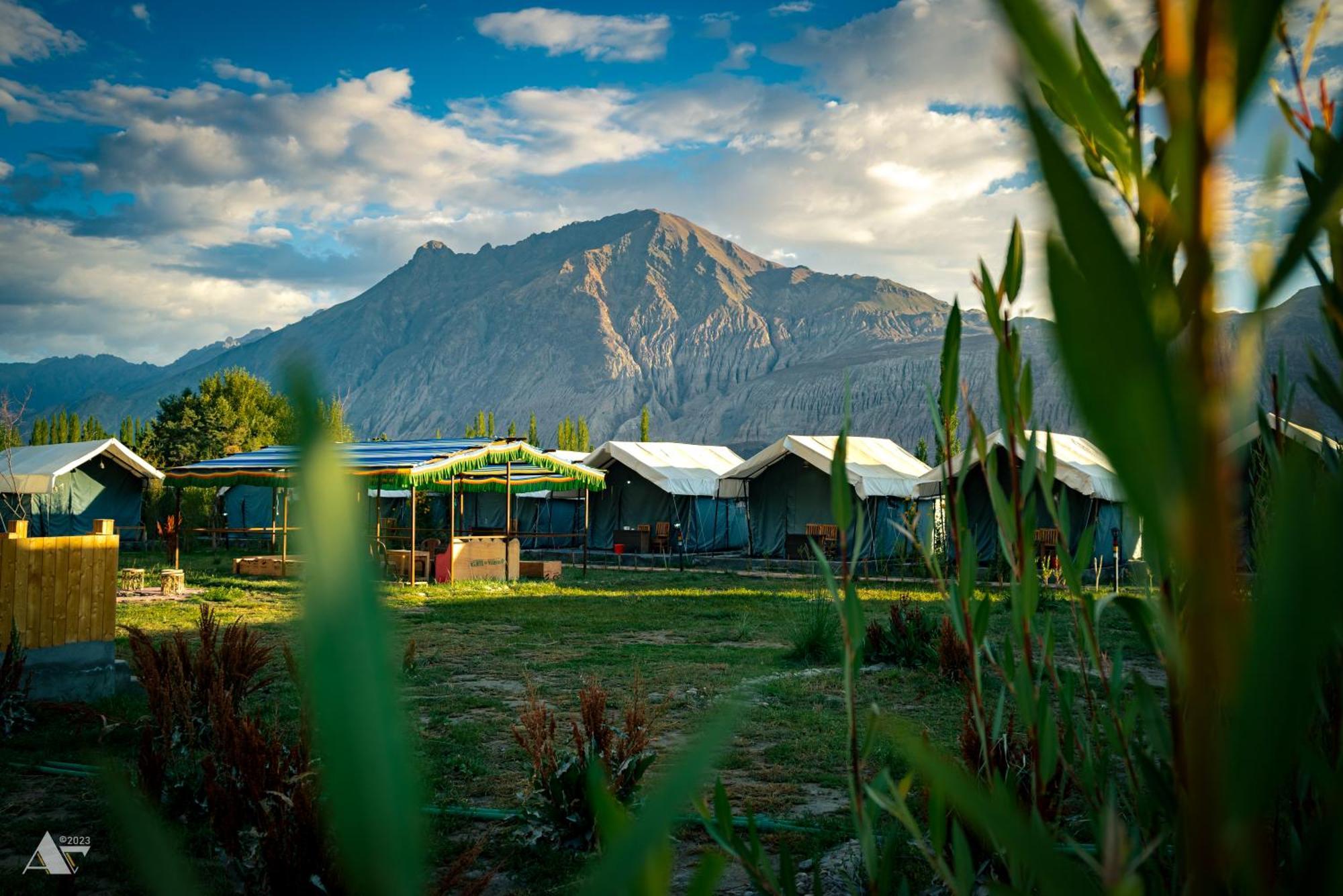 Green Throne Camp Bed and Breakfast Leh Exterior foto